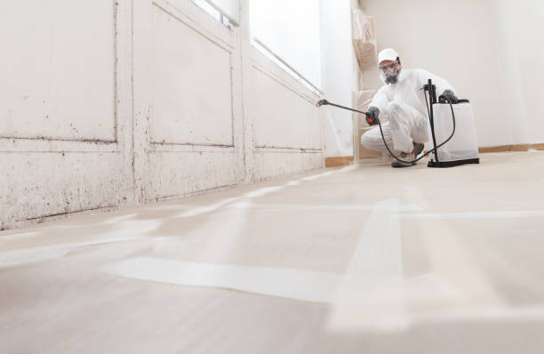 24/7 Emergency Basement Mold Remediation experts in Roslyn, PA