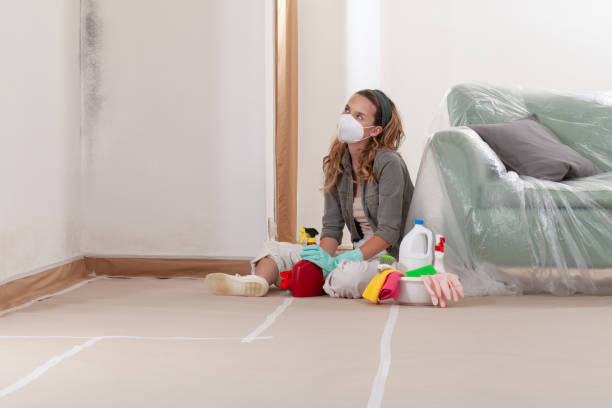 Reliable Basement Mold Remediation contractor in Roslyn, PA by WQB Mold Removal